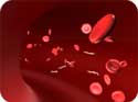 Malaria and Cancer