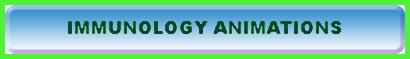immunology animations 