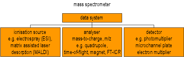 Schematic of mass spectrometer