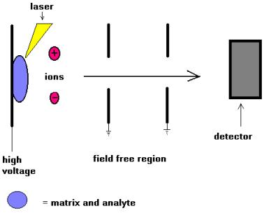 Maldi schematic